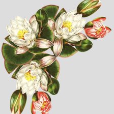 Cross stitch pattern: #527375
