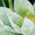 Preview of cross stitch pattern: #527381