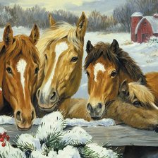 Cross stitch pattern: #527412