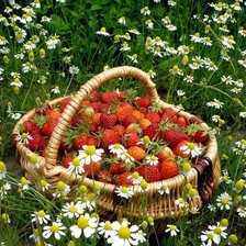 Cross stitch pattern: #527707