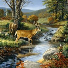 Cross stitch pattern: #528973