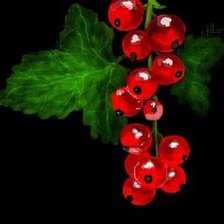 Cross stitch pattern: #529358