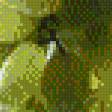 Preview of cross stitch pattern: #529616