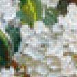 Preview of cross stitch pattern: #529681