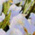 Preview of cross stitch pattern: #529683