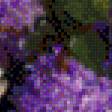 Preview of cross stitch pattern: #529862