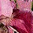 Preview of cross stitch pattern: #529986