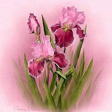 Cross stitch pattern: #529986