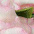 Preview of cross stitch pattern: #529987