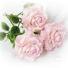 Cross stitch pattern: #529987