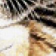 Preview of cross stitch pattern: #530168