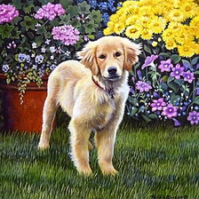 Cross stitch pattern: #530662