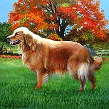Cross stitch pattern: #530665