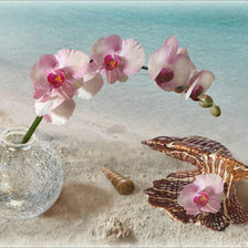 Cross stitch pattern: #530678