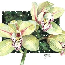 Cross stitch pattern: #530730