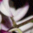 Preview of cross stitch pattern: #530731