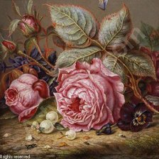 Cross stitch pattern: #530875