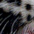 Preview of cross stitch pattern: #530934