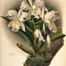 Cross stitch pattern: #530937