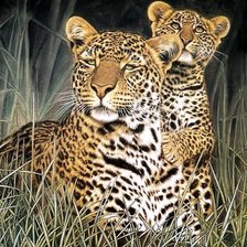 Cross stitch pattern: #530938