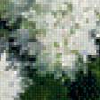Preview of cross stitch pattern: #531562