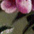Preview of cross stitch pattern: #531564