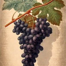 Cross stitch pattern: #531978