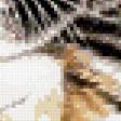 Preview of cross stitch pattern: #532138