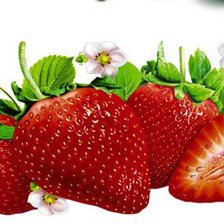 Cross stitch pattern: #532512