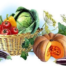 Cross stitch pattern: #532516