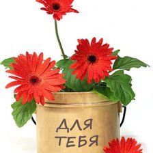 Cross stitch pattern: #532524