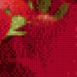Preview of cross stitch pattern: #532850