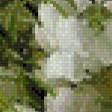 Preview of cross stitch pattern: #533034