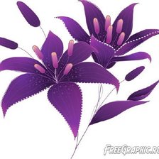 Cross stitch pattern: #533081
