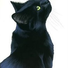 Cross stitch pattern: #533142