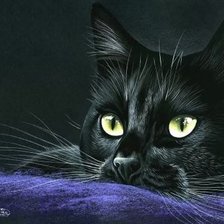 Cross stitch pattern: #533150