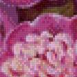 Preview of cross stitch pattern: #533950