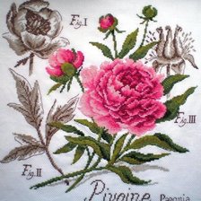 Cross stitch pattern: #534079