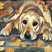 Cross stitch pattern: #534137