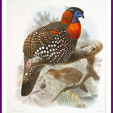 Cross stitch pattern: #534293