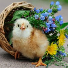 Cross stitch pattern: #534299