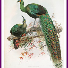 Cross stitch pattern: #534312
