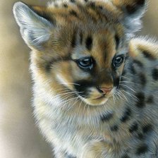 Cross stitch pattern: #534759