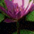 Preview of cross stitch pattern: #535336