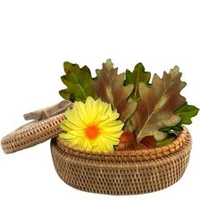 Cross stitch pattern: #535609