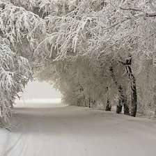 Cross stitch pattern: #535620