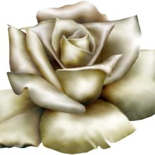 Cross stitch pattern: #535645
