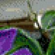 Preview of cross stitch pattern: #535738