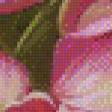Preview of cross stitch pattern: #535986