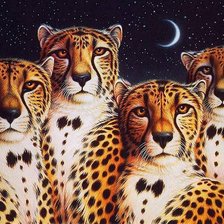 Cross stitch pattern: #536393